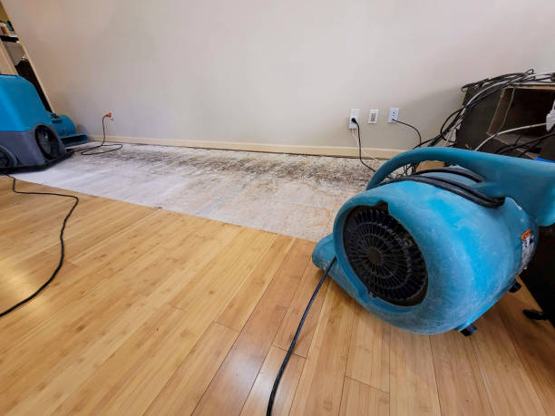 Professional Structural Drying technician working in Kettle River, MN